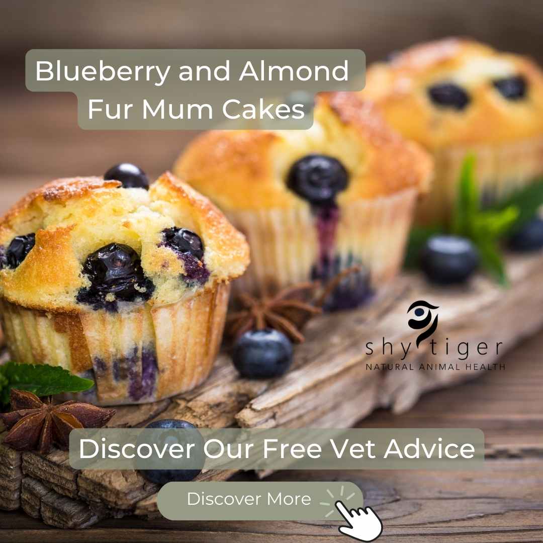 Blueberry and Almond Fur Mum Cakes
