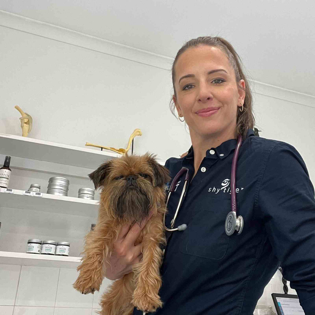 Vaccinations, flea, ticks, gut and heartworm prevention.