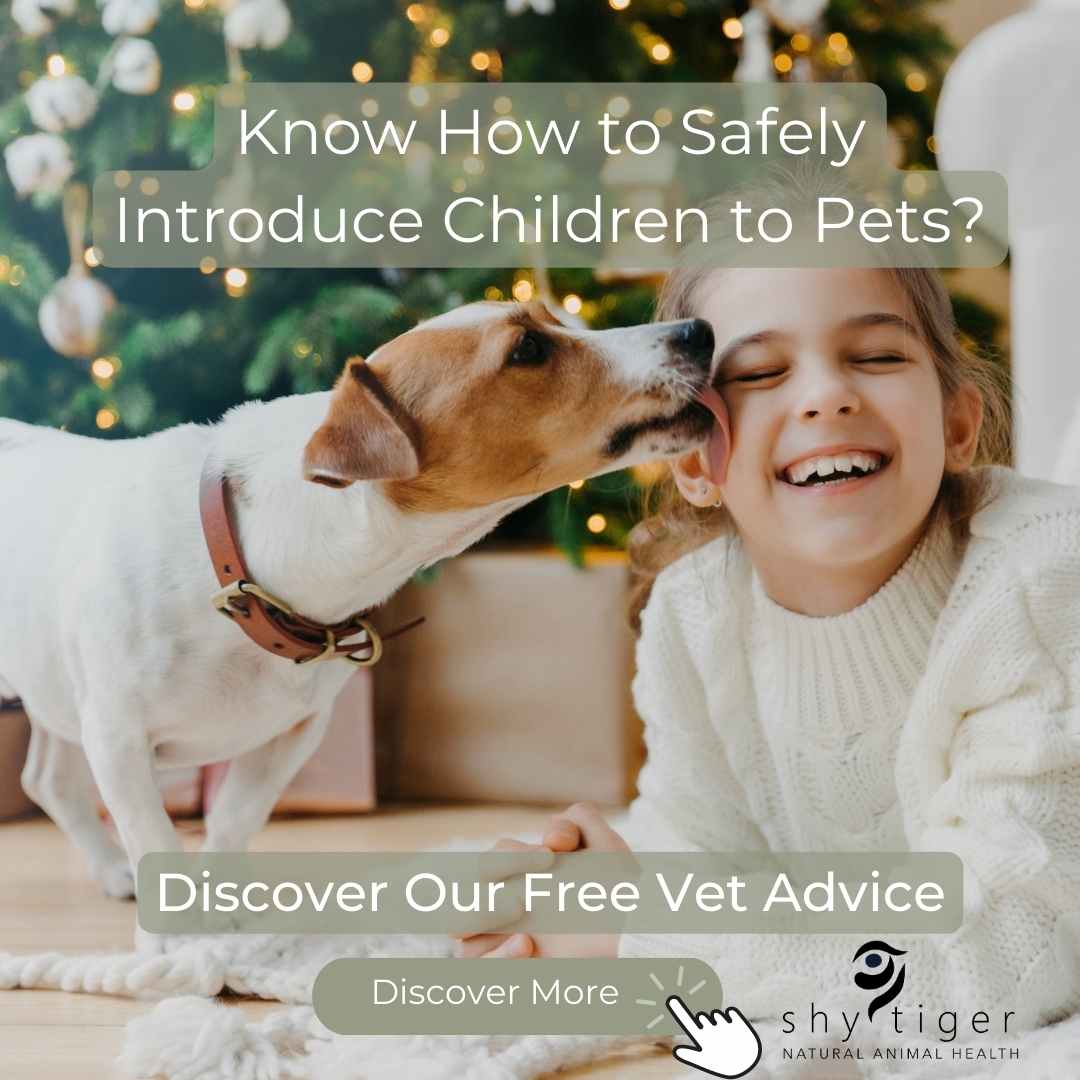 How to Safely Introduce Children to Pets