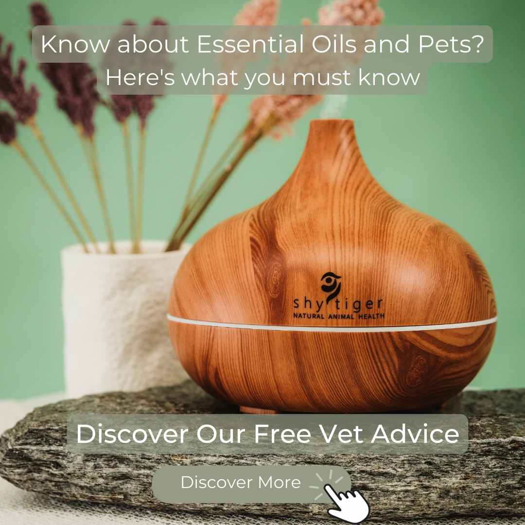 Essential Oils Around Pets: The Golden Rule