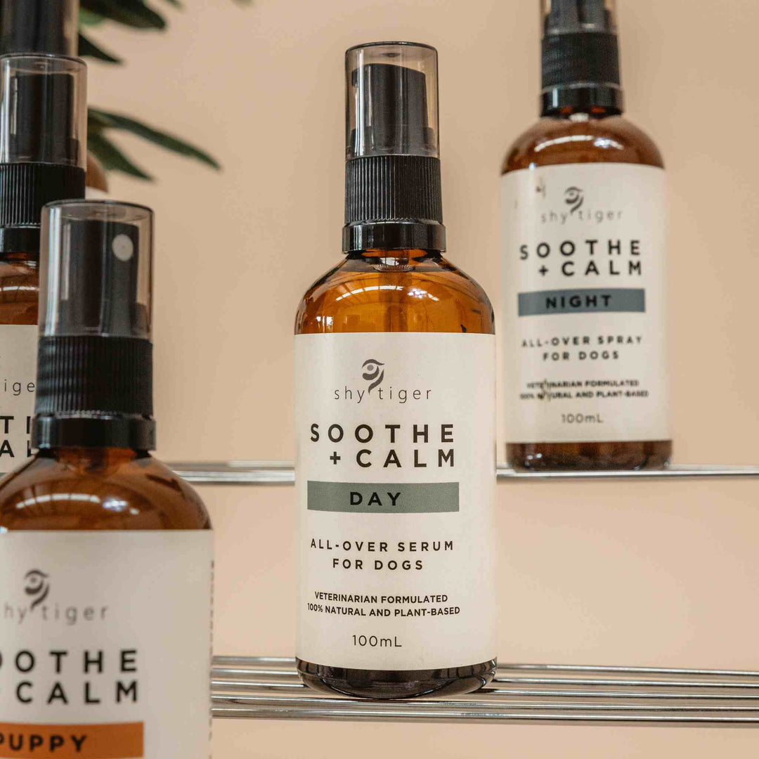 Soothe + Calm Day Training