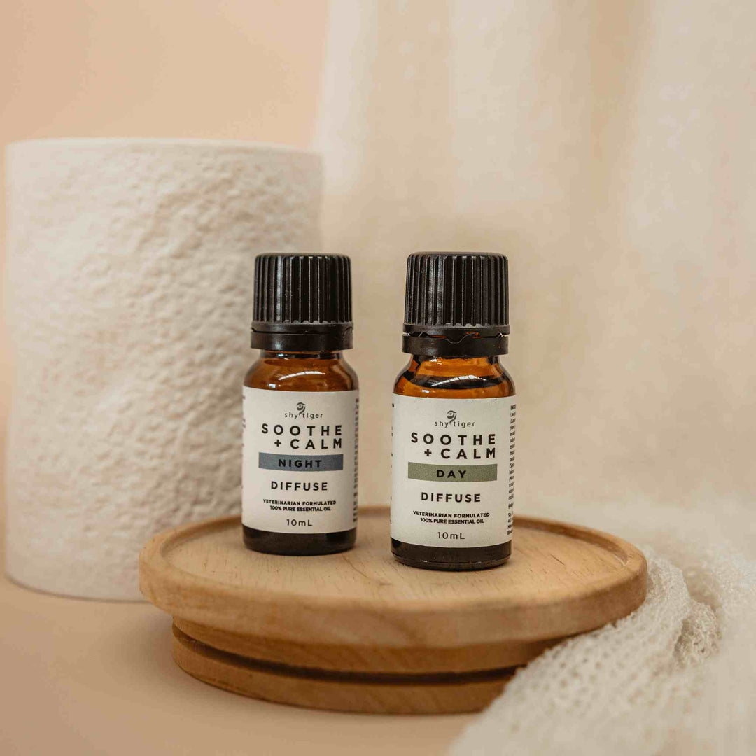 Soothe + Calm Diffuse Training