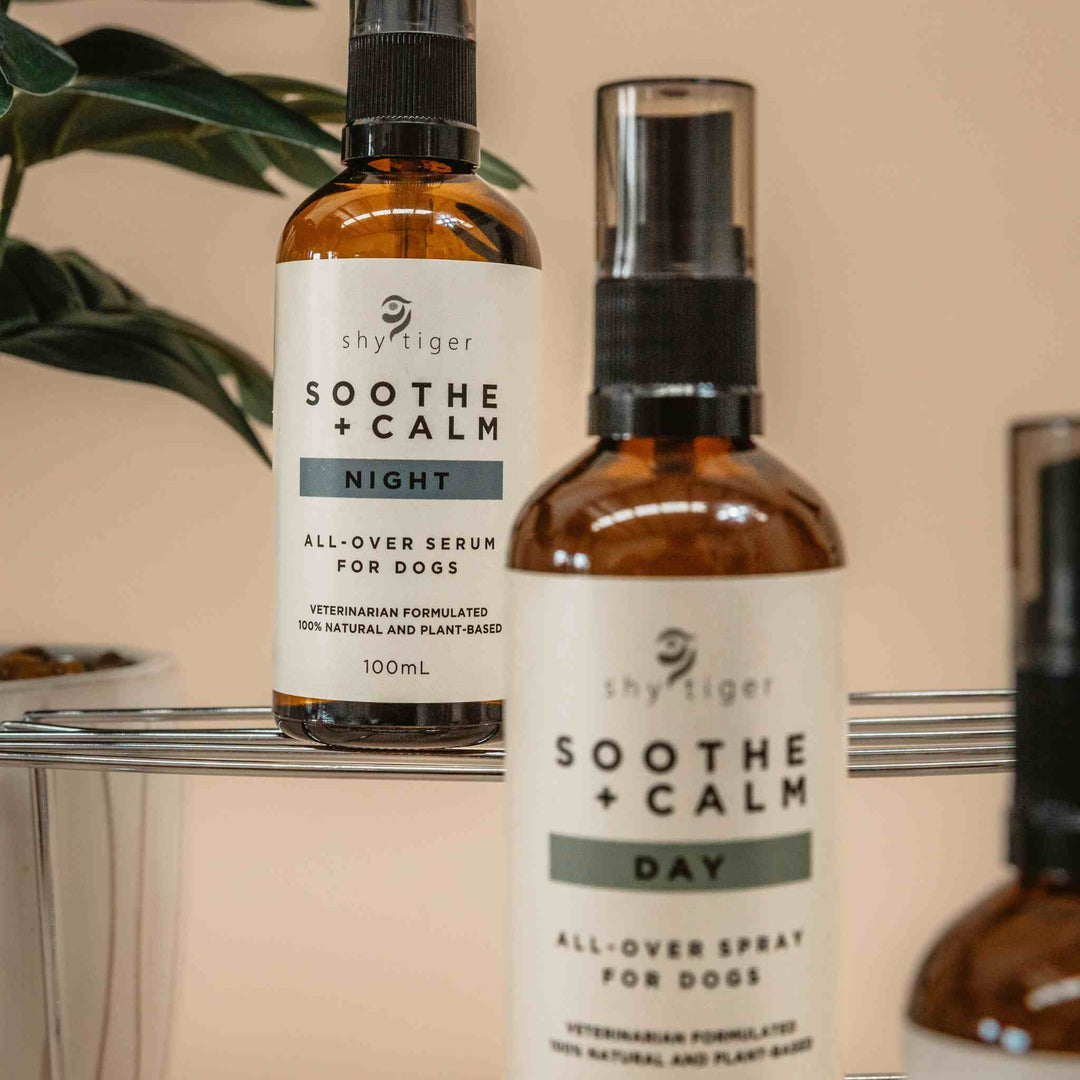 Soothe + Calm Night Training