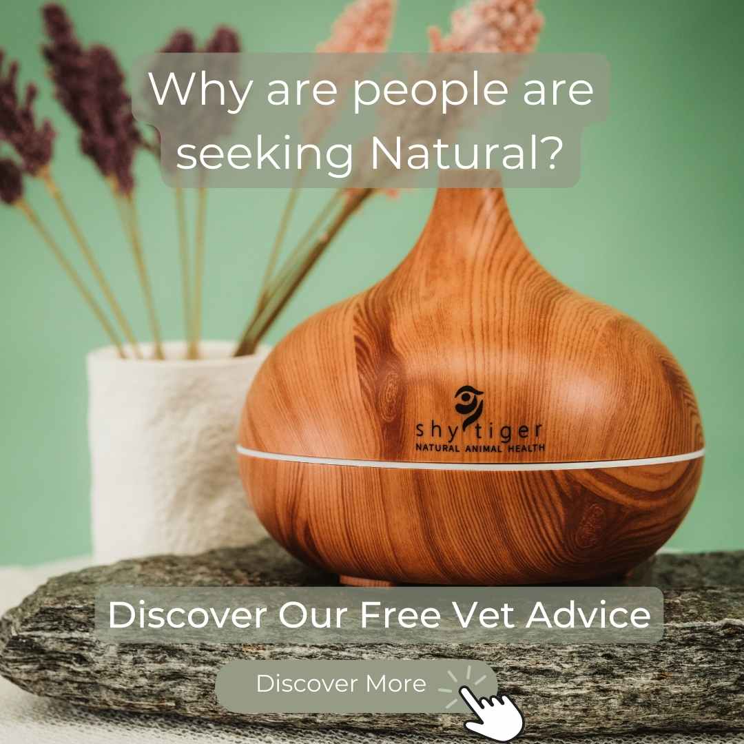Why people are seeking Natural?