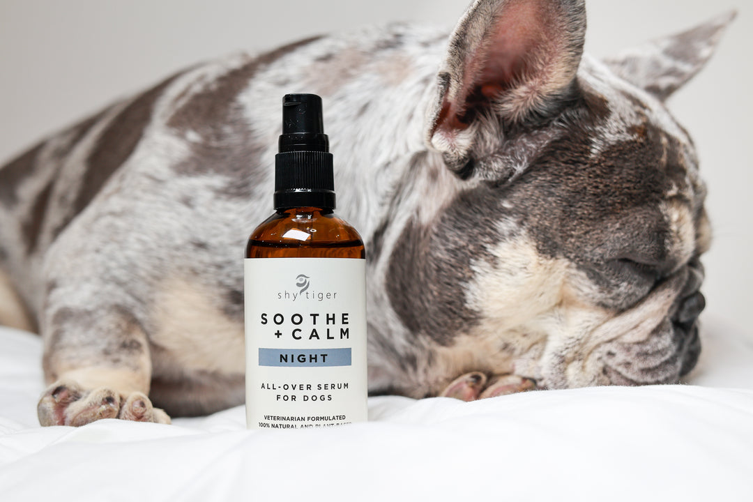 Vet formulated Serum for Dogs with Pure Shy Tiger Essential Oils from Australia