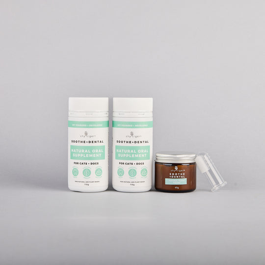 Vet-formulated Dental Care for Cats and Dogs by Shy Tiger, Natural Dental Supplement to add to food, Natural Toothpaste and BPA-free Silicone Finger brush, Made in Australia by Shy Tiger