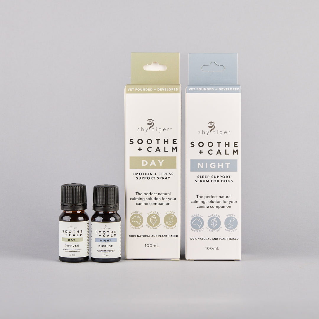 Natural Stress Relief For Dogs, Vet-formulated with Pure Essential Oils, Made in Australia by Shy Tiger