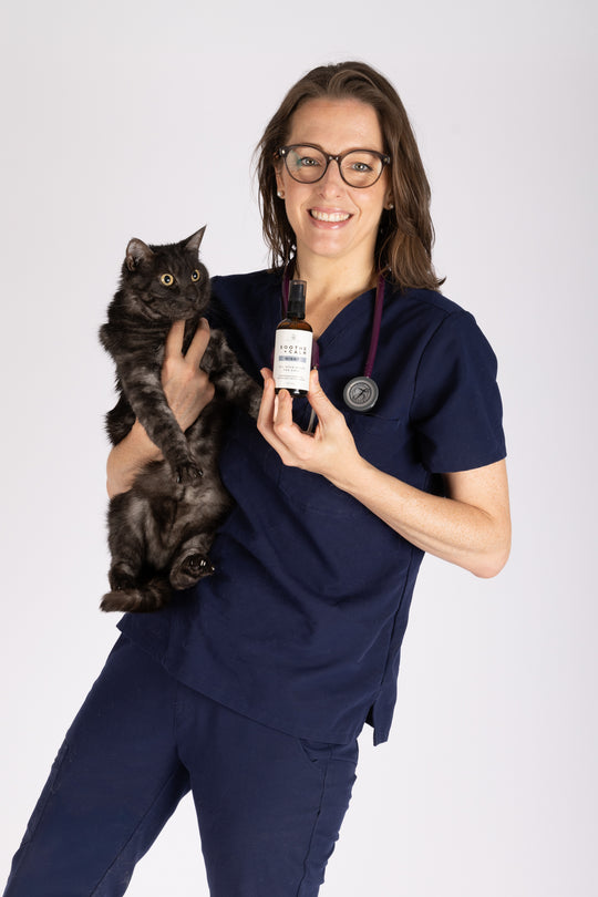 Vet-formulated Natural Stress Spray for Cats, Natural Pure Essential Oils for Pets, Made in Australia by Shy Tiger