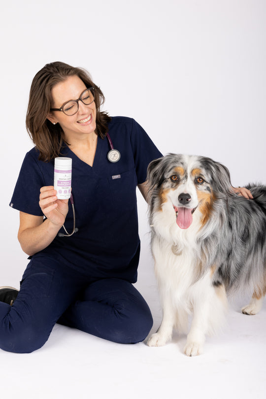 Vet-formulated Powder Supplement for Dogs to target Stress Relief and Gut Health, Made in Australia by Shy Tiger