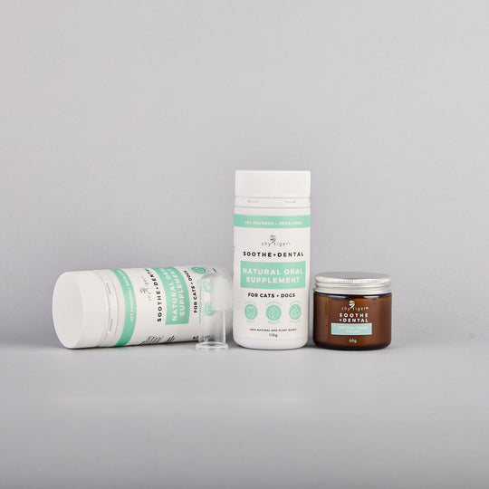 Vet-formulated Dental Care Kit for Dogs for cleaner teeth, less plaque build-up, and fresher breath, Made in Australia with All Natural Ingredients by Shy Tiger