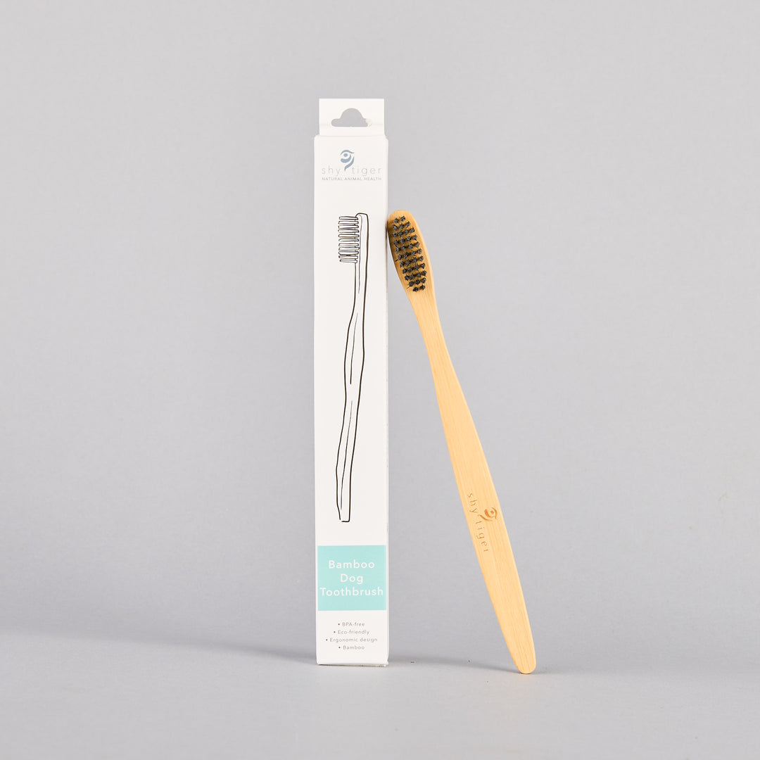 Bamboo Toothbrush for Dogs, Natural Dog Dental Care by Shy Tiger