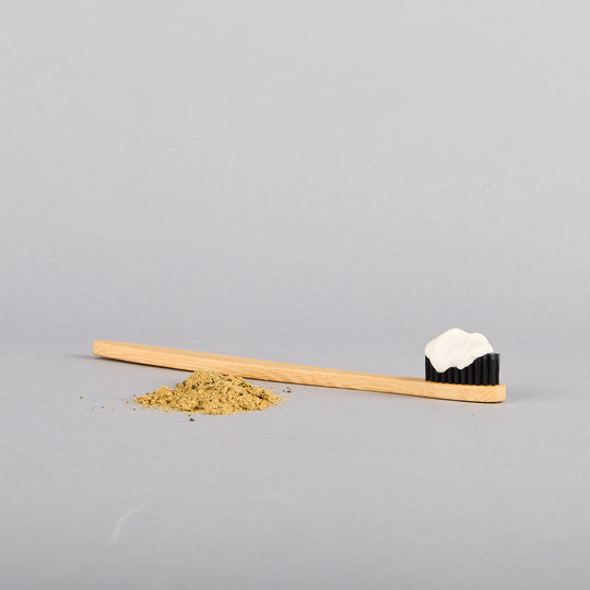 Natural Dog Dental Care with a Natural Bamboo Toothbrush for Dogs by Shy Tiger