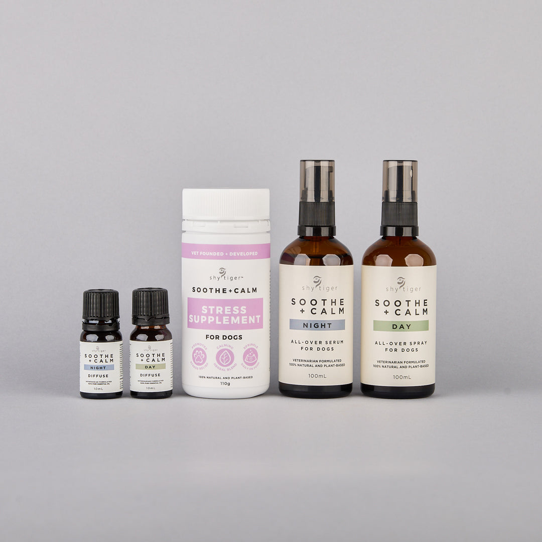 Vet-formulated essential oils and powder supplement for Dog Stress Relief, Made with All Natural Ingredients, Made in Australia by Shy Tiger