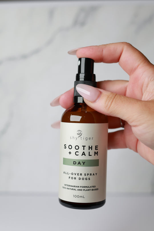 All Natural Essential Oil Spray For Dog Stress Relief, Vet-formulated and made in Australia by Shy Tiger