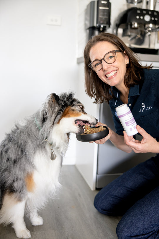 Vet Owned and Australian Made Dog Stress Supplement by Shy Tiger