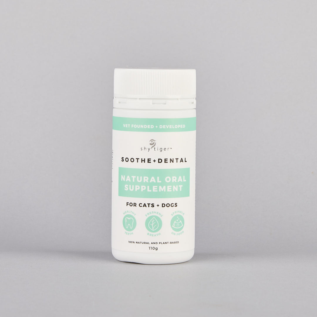 Vet-formulated Natural Dental Supplement for Cats and Dogs, Simply Add to food, Targets Plaque buildup and freshens breath, Made in Australia by Shy Tiger