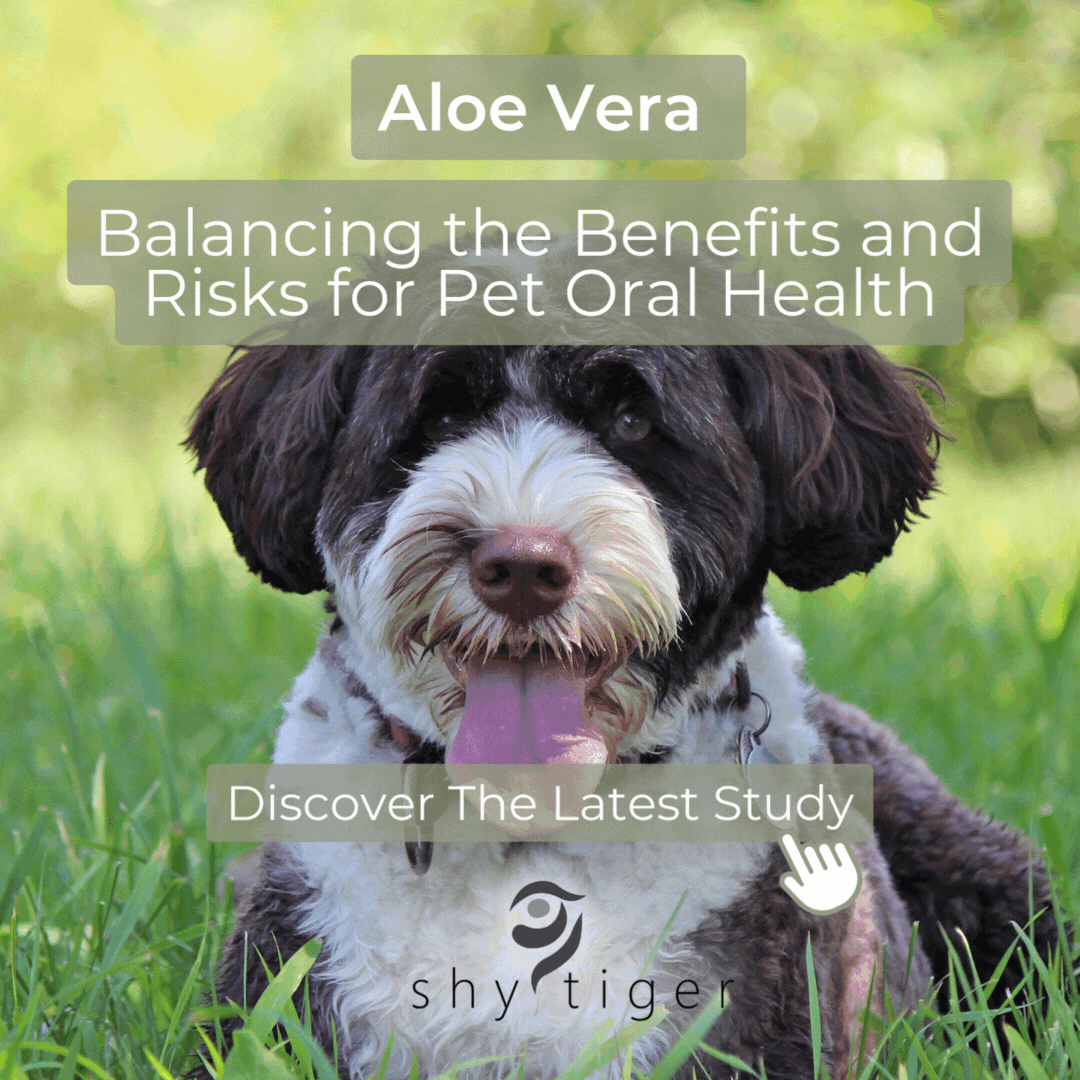 Aloe Vera for Pet Oral Health