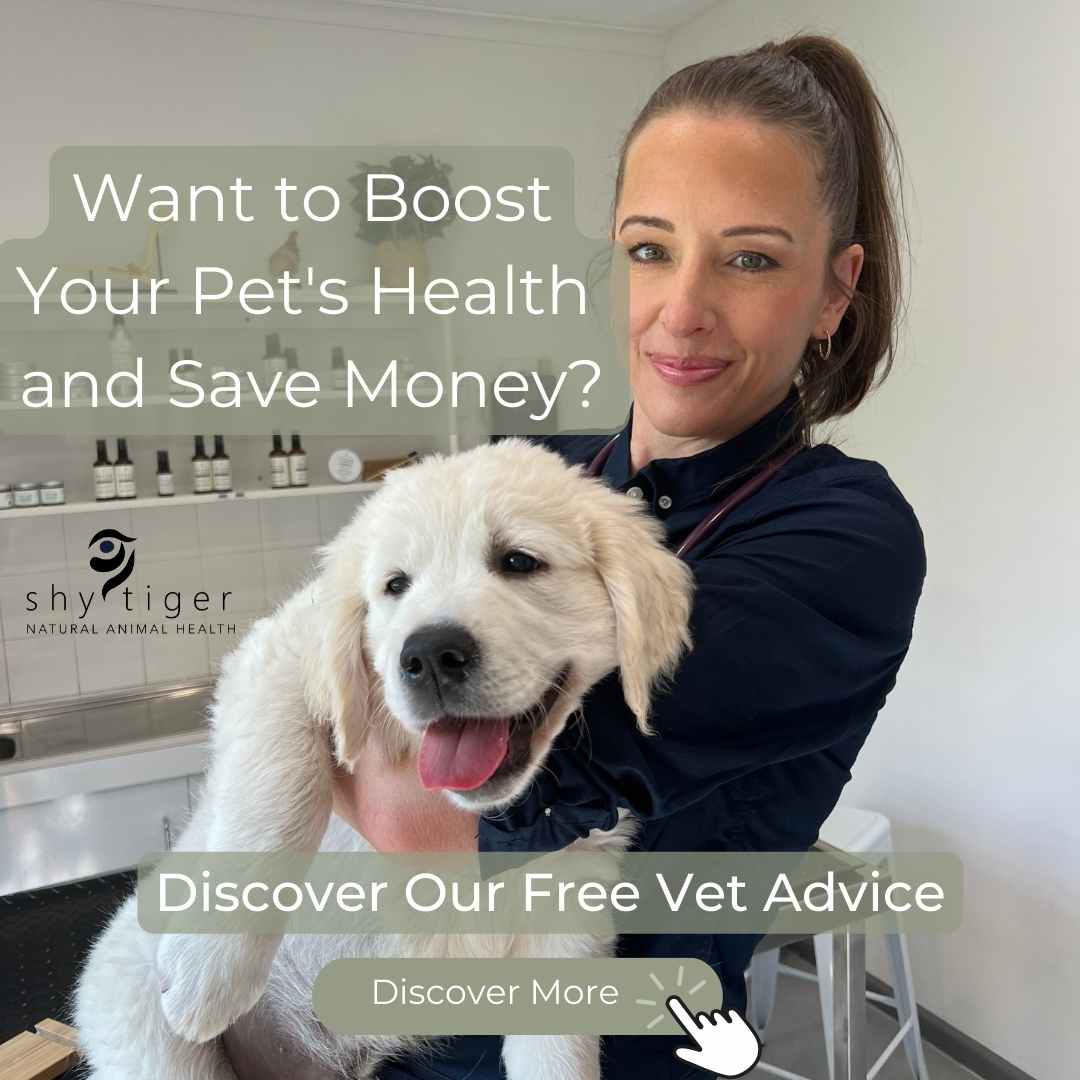 Boost Your Pet's Health and Save Money Shy Tiger