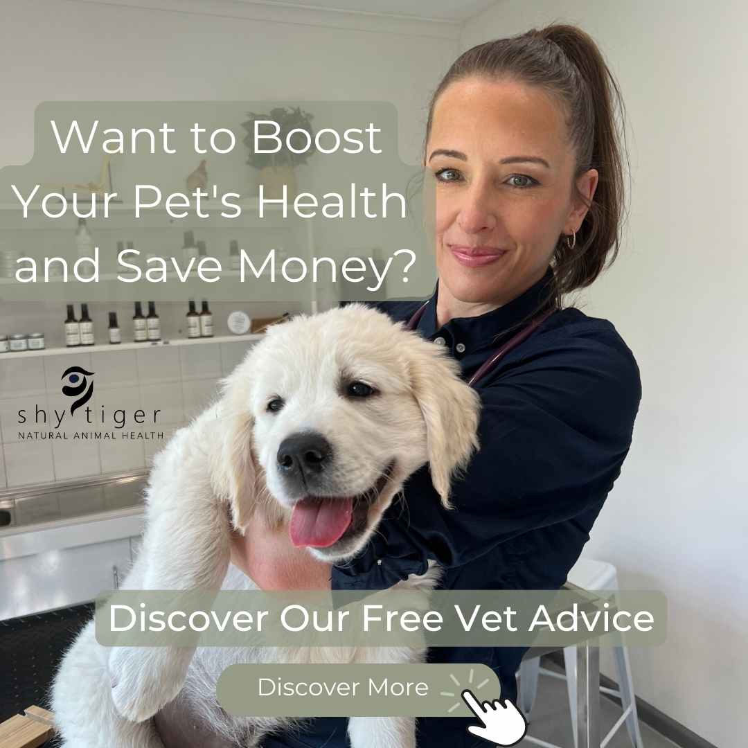 Vet Dr Nicole Rous with Dog in Vet Clinic