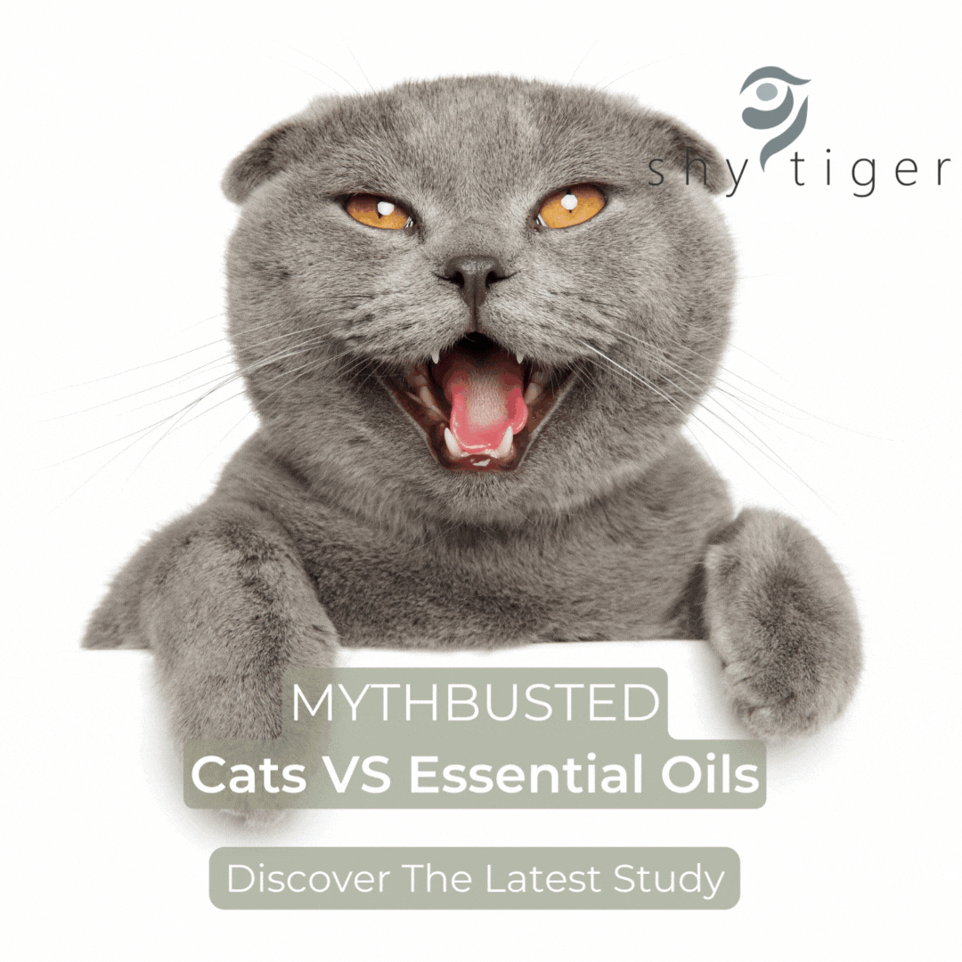 Cats Vs Essential Oils