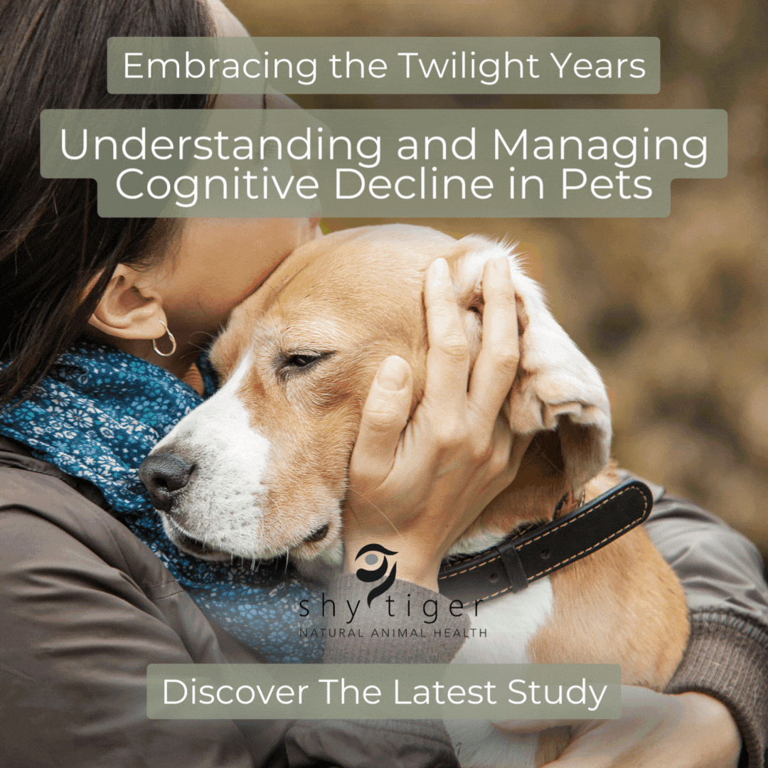Cognitive Decline in Pets