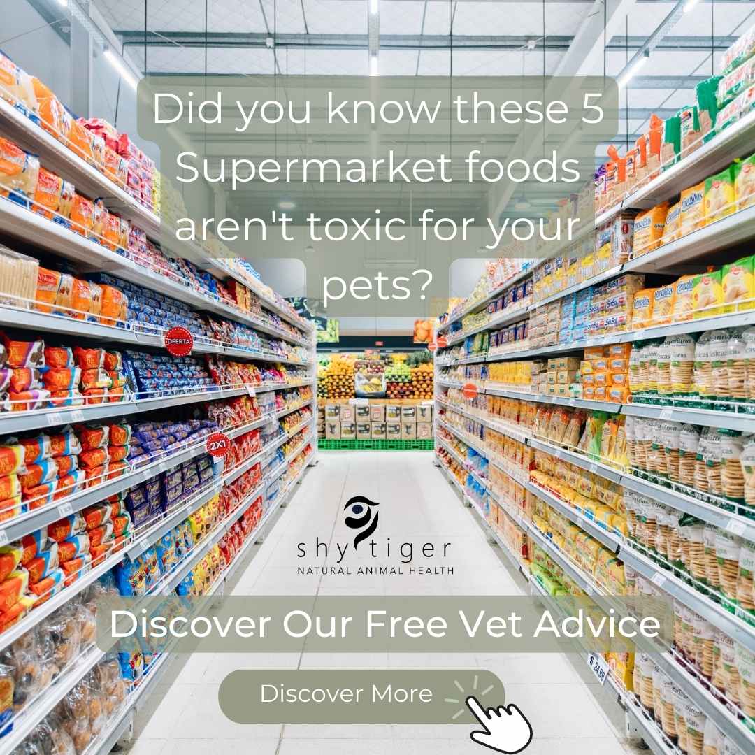Supermarket aisle