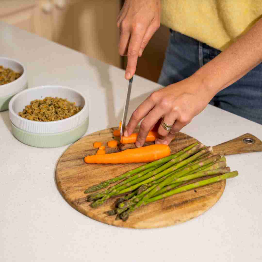 A Vet's Guide to Ensuring a Healthy Diet for Your Pet