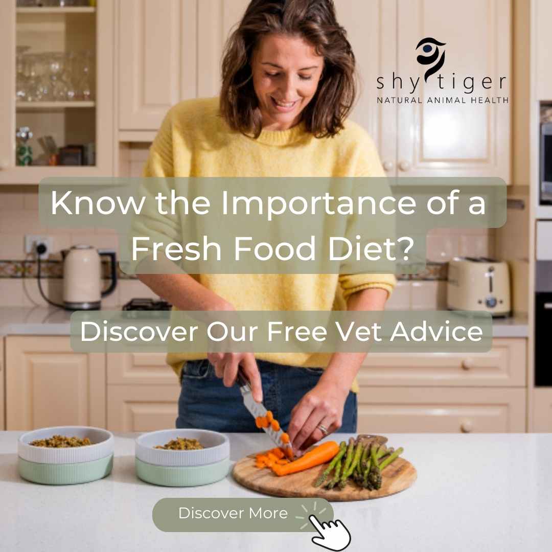 Vet Dr Nicole Rous Chopping Fresh Food