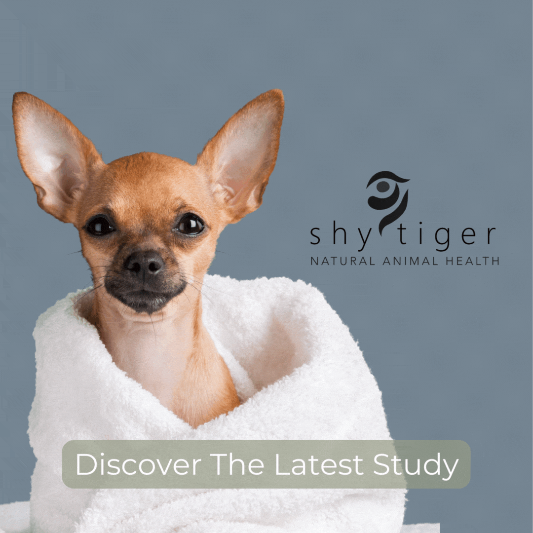Natural Remedy for Pet Antibiotic Resistance?