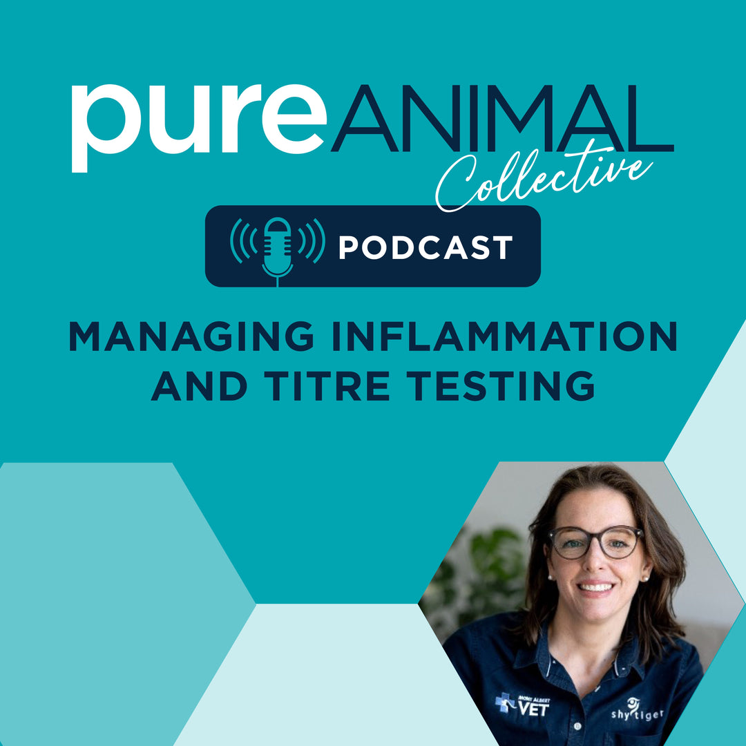 Understanding Inflammation, Titre Testing & The Future of Personalized Pet Care