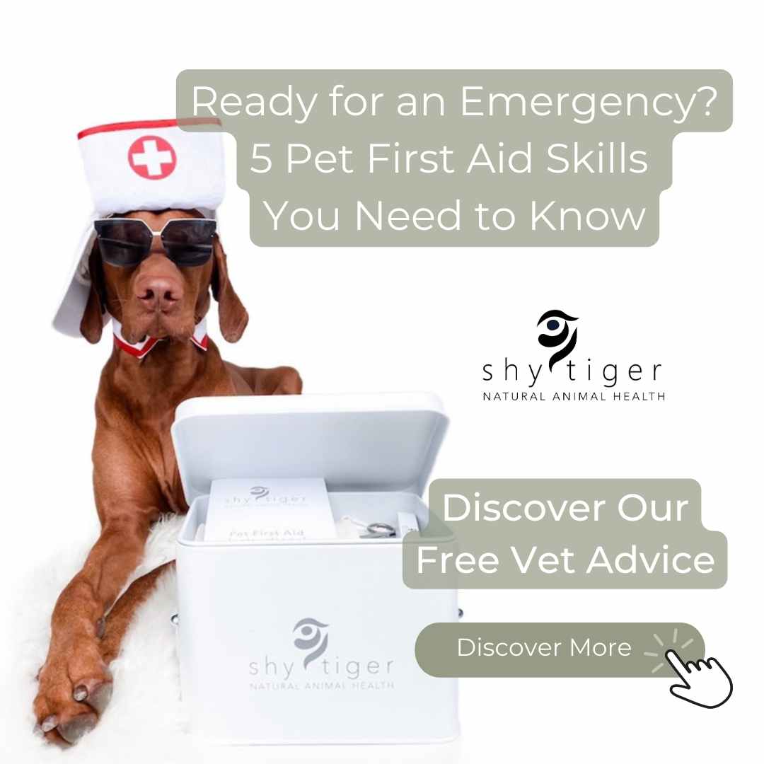 Dog dressed in Nurses Hat with First Aid Kit