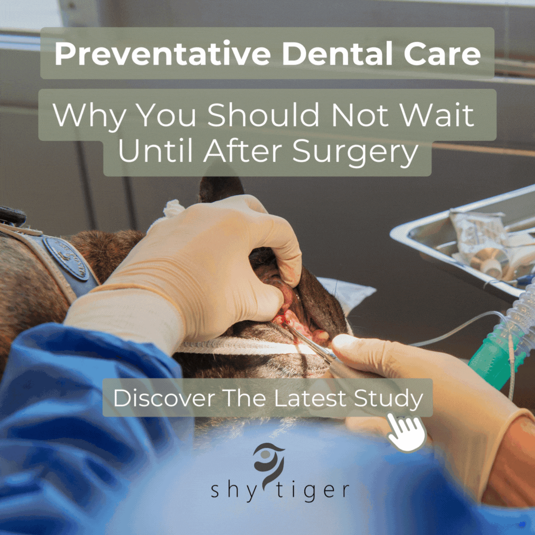 Preventative Dental Care
