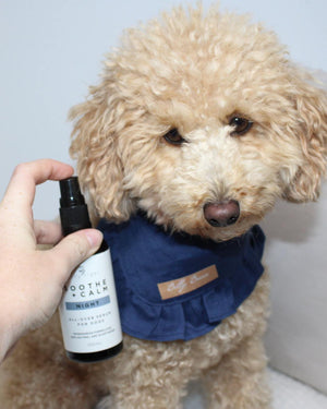 Soothe + Calm Night Stress Serum for Dogs