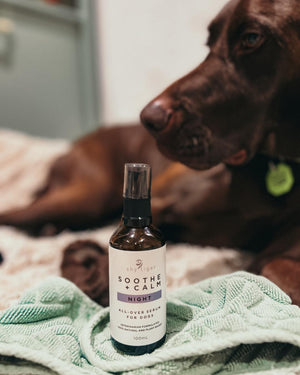 Soothe + Calm Night Stress Serum for Dogs