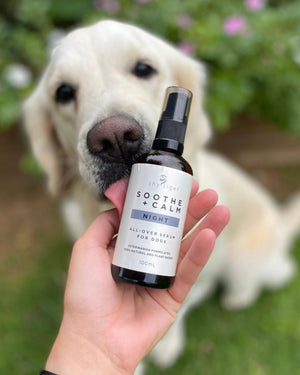 Soothe + Calm Night Stress Serum for Dogs