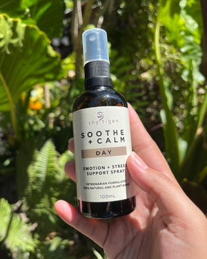 Soothe + Calm Stress Day Spray for Dogs