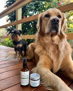 Soothe + Calm Stress Day Spray for Dogs