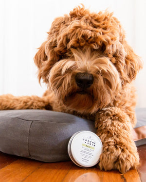 Soothe + Skin Balm for Dogs