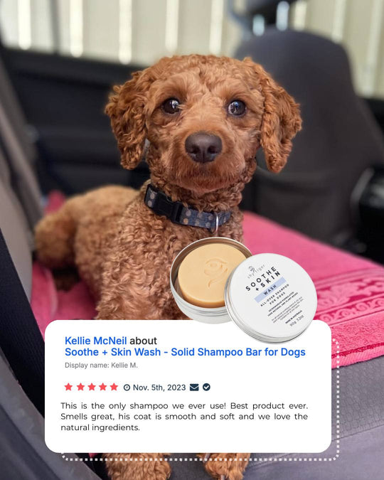 Soothe + Skin Wash - Solid Shampoo Bar for Dogs