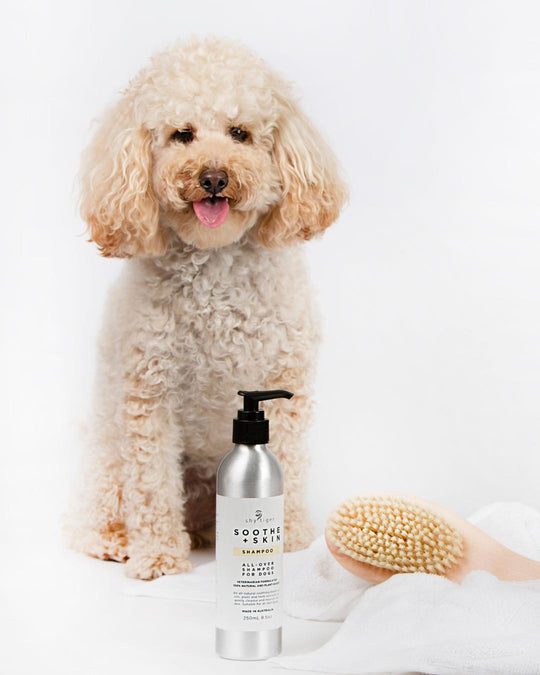 Soothe + Skin Shampoo and Conditioner for Dogs