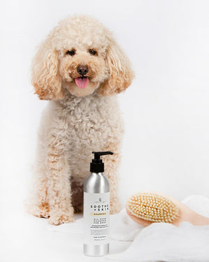 Soothe + Skin Shampoo and Conditioner for Dogs