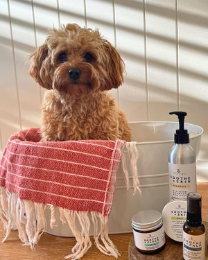 Soothe + Skin Shampoo and Conditioner for Dogs