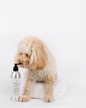 Soothe + Skin Shampoo and Conditioner for Dogs