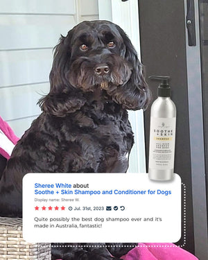 Soothe + Skin Shampoo and Conditioner for Dogs