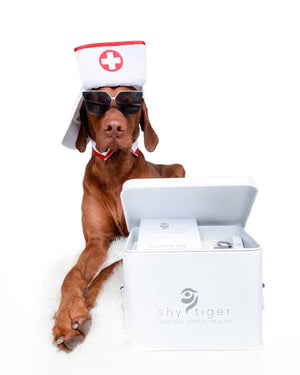 Pet First Aid Kit