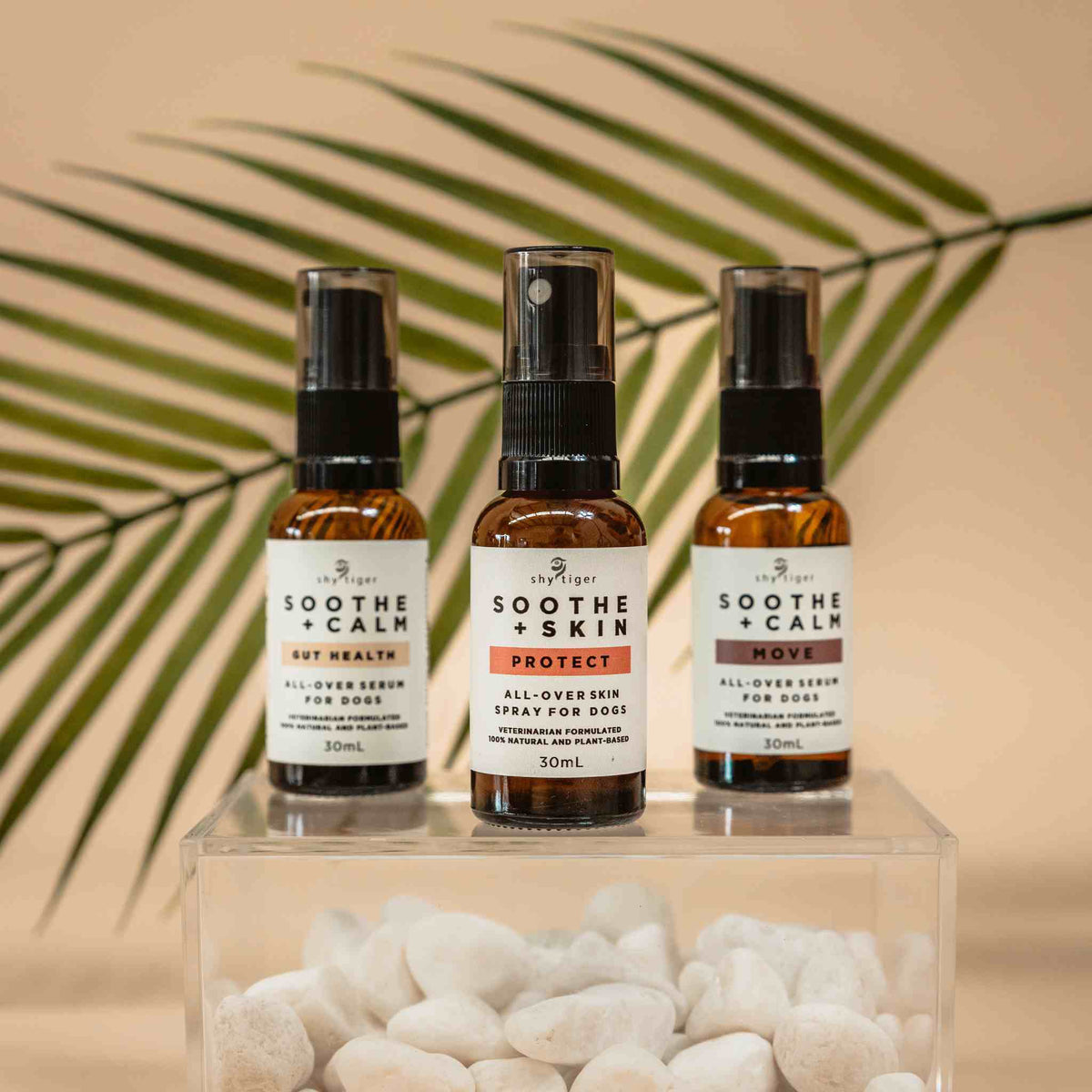 Soothe + Calm Move for Dogs