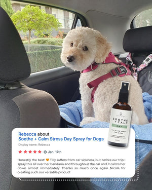 Soothe + Calm Stress Day Spray for Dogs