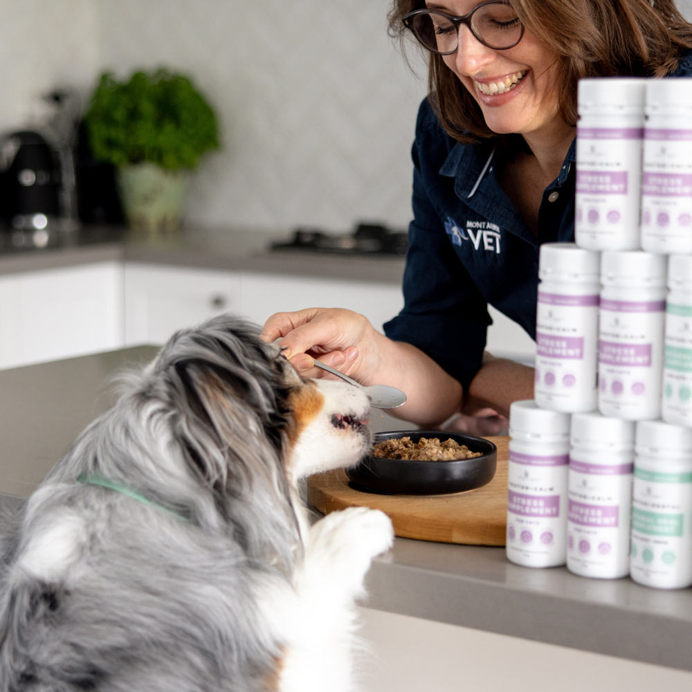 Soothe + Calm Stress Supplement Bundle For Dogs