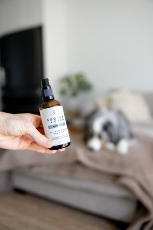 Soothe + Calm Night Stress Serum for Dogs