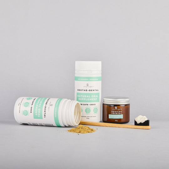 Shy Tiger Dental Kit For Cats and Dogs, Vet formulated with Natural Ingredients from Australia